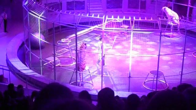 ЦИРК-НТ. ЖИРАФ ШОУ 06.01.2024 - 10 смотреть онлайн