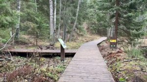 Линдуловская роща. Ленинградская область