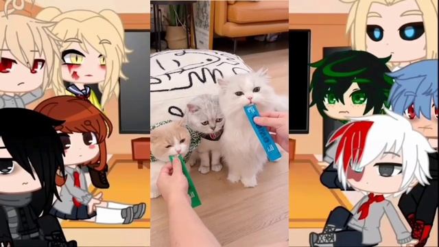 MHA/BNHA Character React to Deku's Pets +more/Viral/Funny Trending Tiktok/BNHA/Gacha Club #39 смотреть онлайн