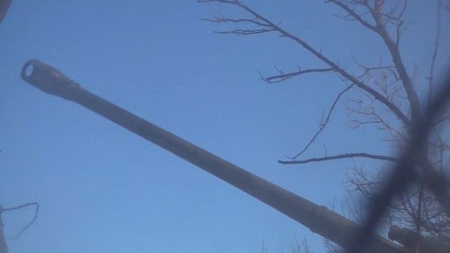 VID_20240202_080731_153.mp4