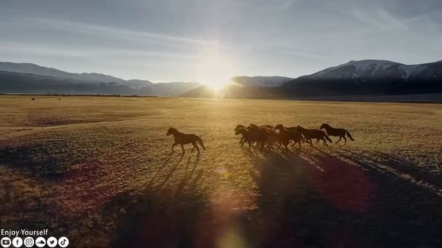 Расслабляющая музыка успокаивает нервы ? Музыка лечит болезни сердца и восстанавливает здоровье #12