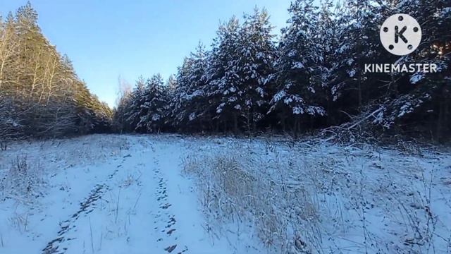 ➖2⃣3⃣ Как  животные переносят мороз‼️