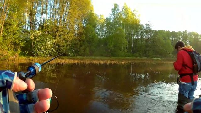 Мормышинг . Плотва и красноперка на спиннинг !!! Мормо Шабаш ! смотреть онлайн