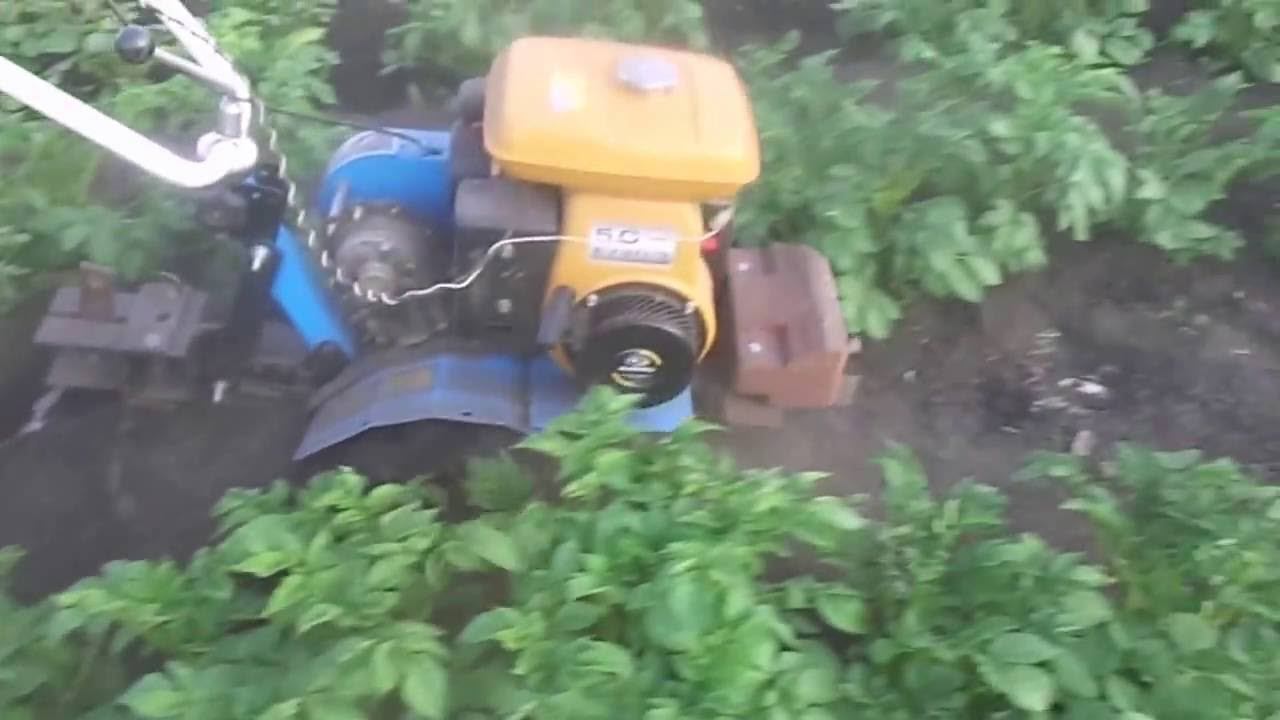 Выращивание Картофеля на Урале. Предпосадочная Обработка Почвы, Посадка и Окучивание . смотреть онлайн