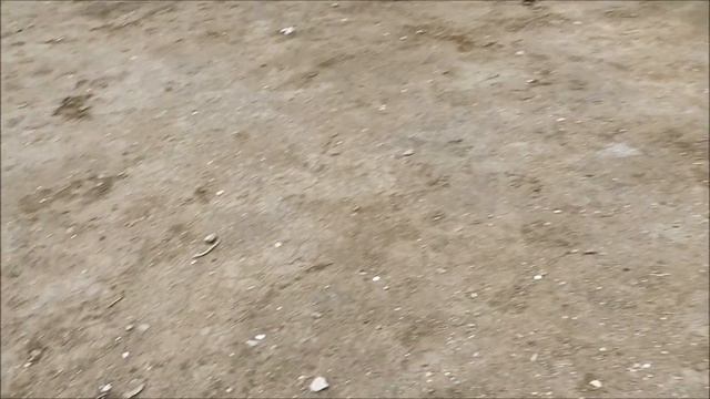 Поиск монет без металлоискателя 21 смотреть онлайн