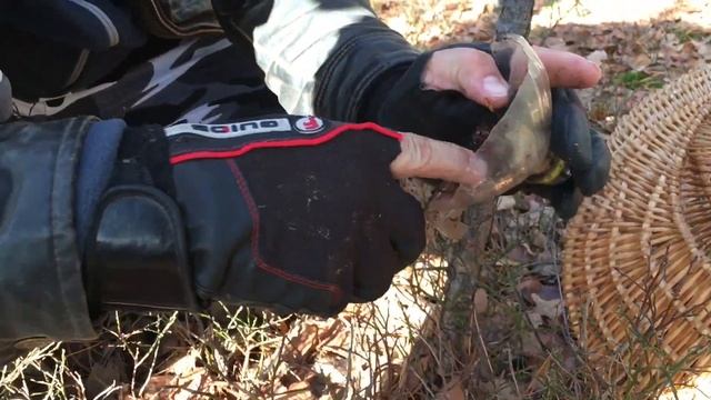 Собираем грибы. Чем заняться на каникулах. Гриб в бутылке смотреть онлайн