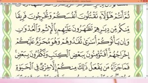 Шейх Айман Сувейд сура Бакара стр 13