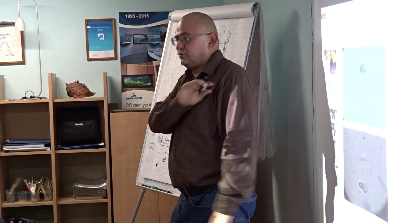 Видео #семинара #морская #аквариумистика для профессионалов смотреть онлайн