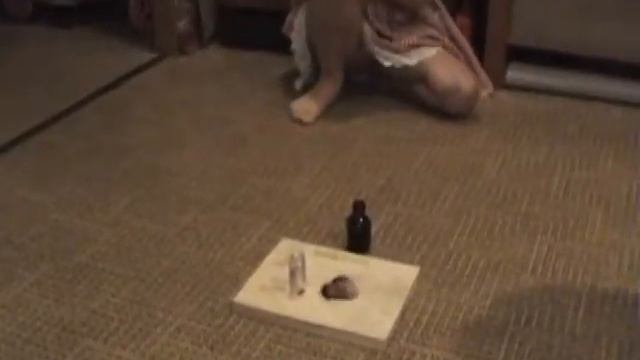 юный химик смотреть онлайн