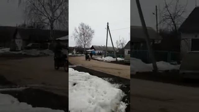 Зид-200 смотреть онлайн