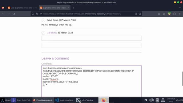 Exploiting Cross-site Scripting to Capture Passwords (No Collaborator) смотреть онлайн