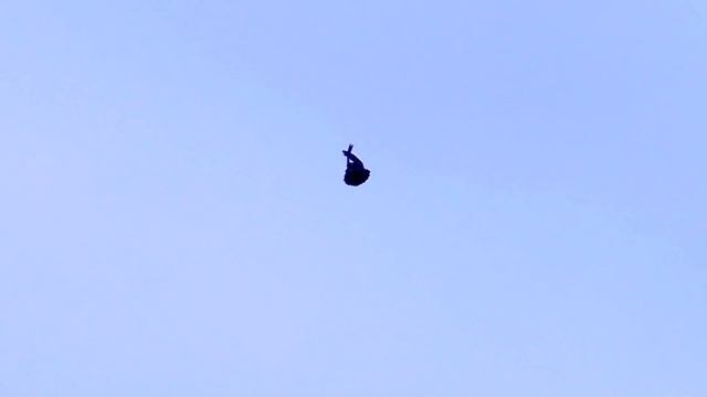 ❤️Жизнь моя -удача. ?Для тех кто любит голубей.Полёты в субботу. смотреть онлайн