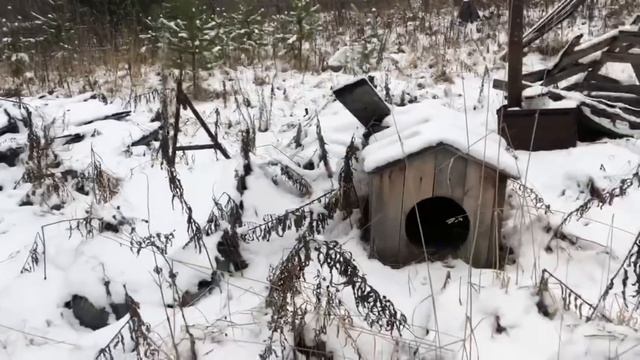 Секретное место найдено. Салафан бежал в Дагестан! Ранчо Саши Счастливого. Саша может хватит бегать смотреть онлайн