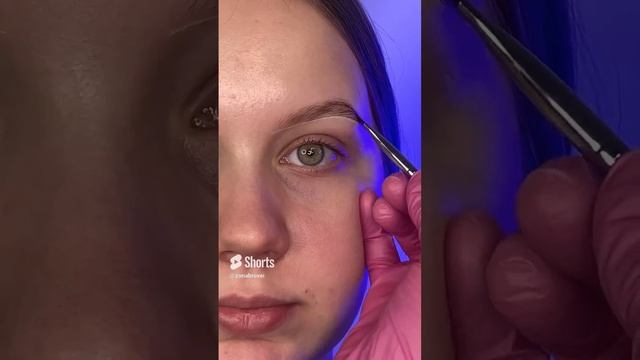 Окрашивание для блондинок #bronsun #бровимосква #бровист #мастербровист смотреть онлайн