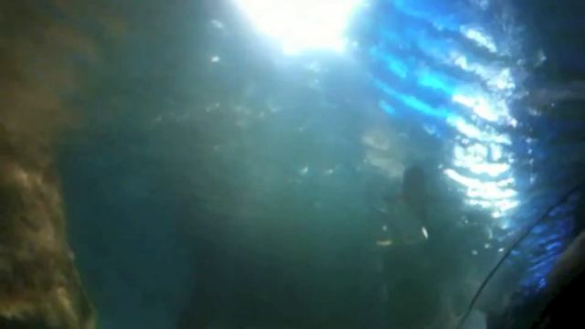 2000 льё под водой:) смотреть онлайн
