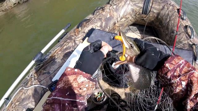 Осенний клев в коряжнике. Иртыш.Павлодар. Pike Fishing.Pavlodar смотреть онлайн
