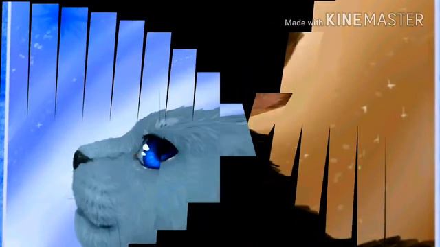 Тест кто ты из котов воителей смотреть онлайн