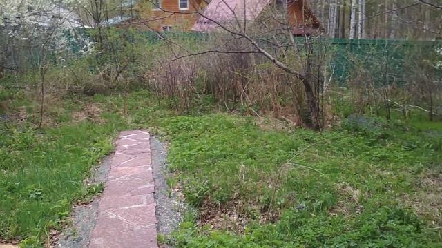 Отзыв: мощение дорожки - плитняк лемезит смотреть онлайн