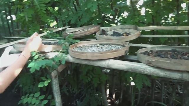 Мифы и правда о вьетнамском кофе. Далат. La Viet Coffee