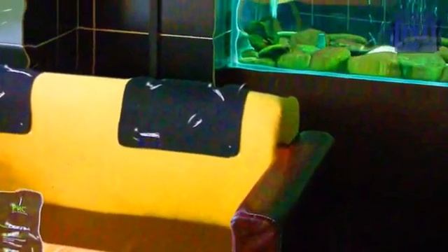 Ресторан "Рис 25", Ставропольская, 137. Краснодар смотреть онлайн