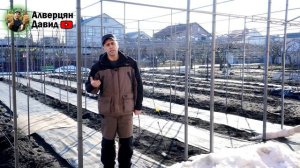 План работ на винограднике в марте