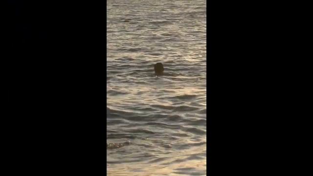 Купание в черном море смотреть онлайн