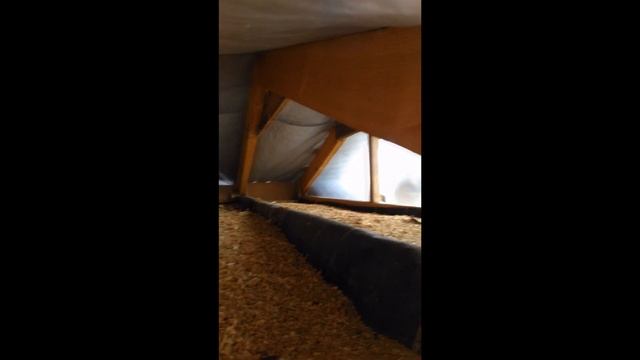 Гнездо шершней... смотреть онлайн