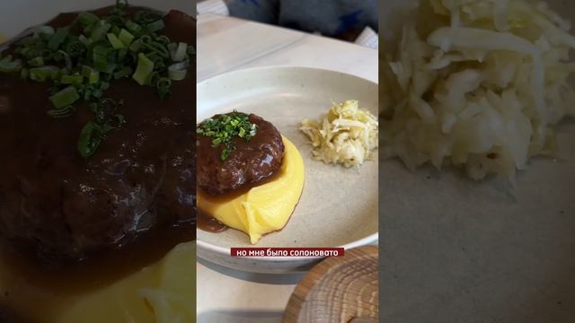 Кафе Dog Friendly в Петербурге