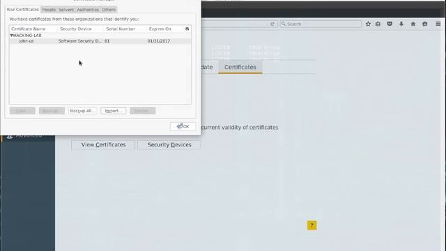 client cert authentication apache web server with Root CA and two Sub CA's and easyrsa3 смотреть онлайн