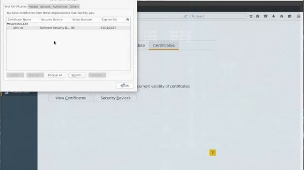 client cert authentication apache web server with Root CA and two Sub CA's and easyrsa3