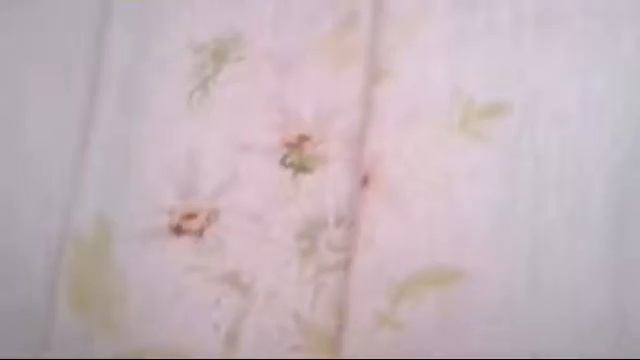 Короче говоря мы сыграли в карты смотреть онлайн