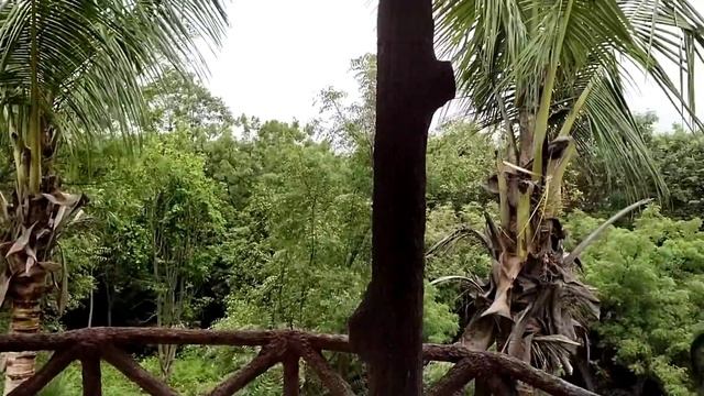 Mahisagar Van | Best place to visit near Vadodara | Full Guide | 2022 | Harsh Kahar смотреть онлайн