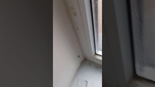 Вибро присоска TOPVEI V07 и вакуумная присоска TOPVEI с манометром смотреть онлайн