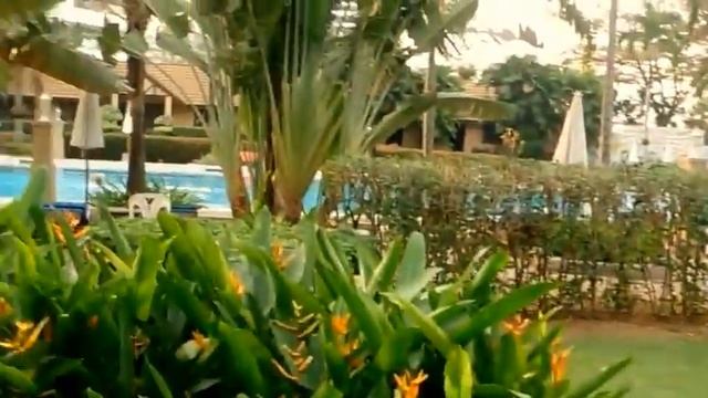 Тайланд. Отель 