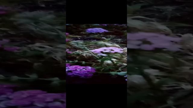 у нас гость,кто это? пишите в комментариях. смотреть онлайн