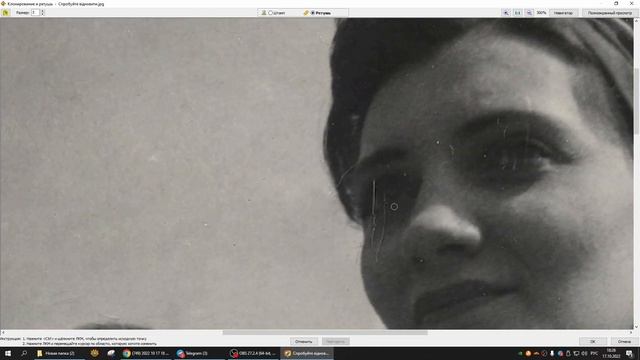 Восстановление повреждённого фото в FastStone Image Viewer смотреть онлайн