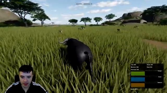 ROBLOX BUFFALO BEATS LION PRIDE смотреть онлайн