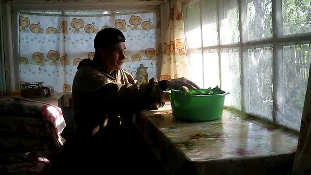 Делаем сок из подорожника смотреть онлайн