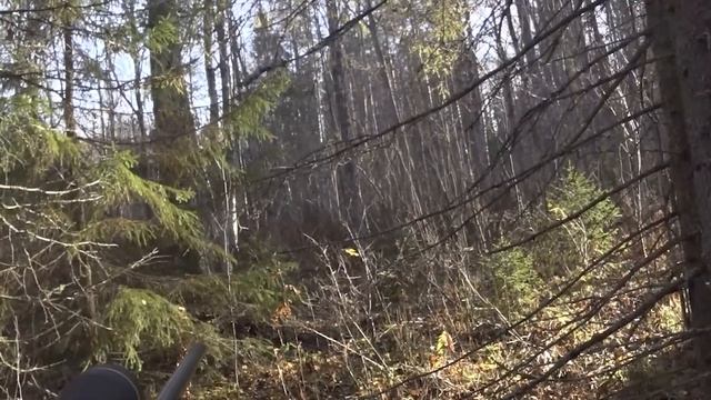 Охота на лося 2022 смотреть онлайн