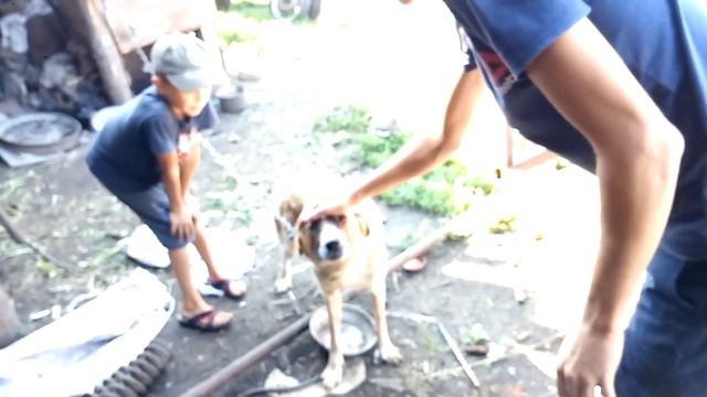 VLOG: КАК ДОВЕСТИ ДЕВУШКУ / КАТАЕМСЯ НА МОТОЦИКЛЕ! смотреть онлайн