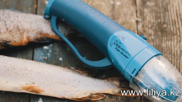 Электрическая рыбочистка смотреть онлайн