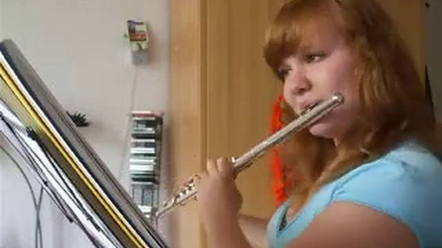 Nocturne opus 9 no. 2 - F. Chopin (flute) смотреть онлайн