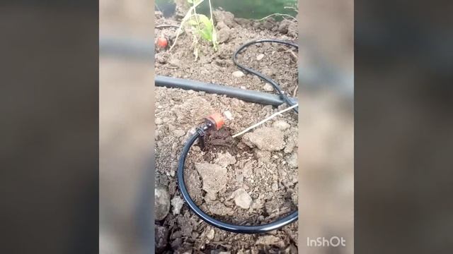 капельный полив самотёком из бочки. своими руками смотреть онлайн