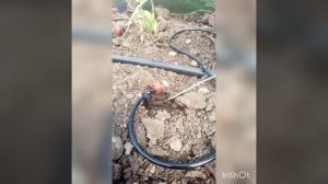 капельный полив самотёком из бочки. своими руками