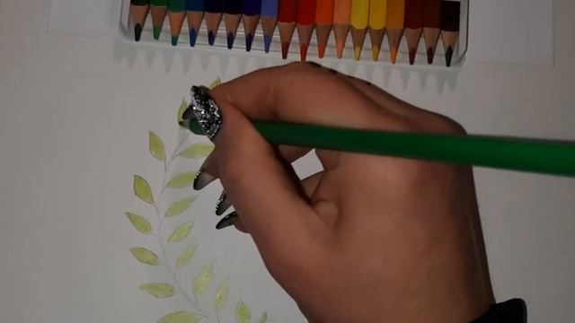 Лавровый венок.Рисуем цветными карандашами #art #рисунки смотреть онлайн