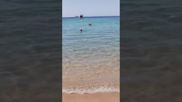 Reef Oasis Beach Resort, *5! Египет, Шарм-эль-Шейх! смотреть онлайн