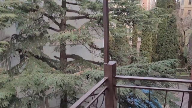обзор лучшего (цена-качество) отеля в Ялте март 2023 смотреть онлайн