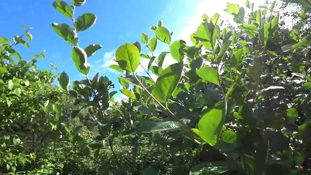 Учим Делать Креативно