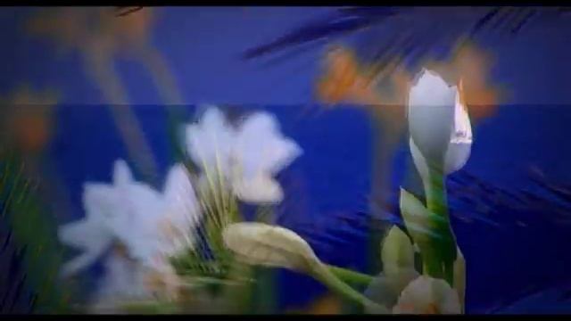 Отдых в Италии. Лигурия. смотреть онлайн