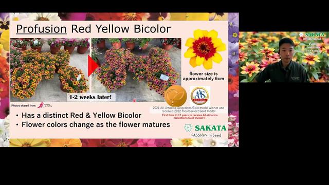 Sakata cultivars evaluated at Gardens by the Bay 2021 смотреть онлайн